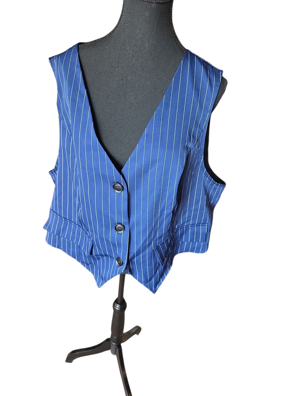 Plus Size Blue Pinstripe Button Front Vest